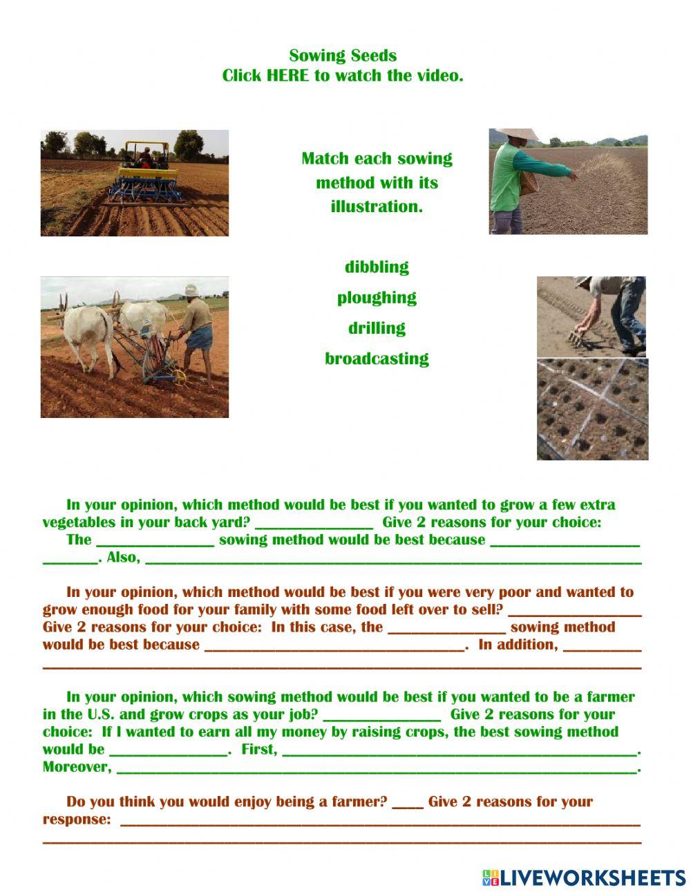 Sowing Methods Critical Thinking