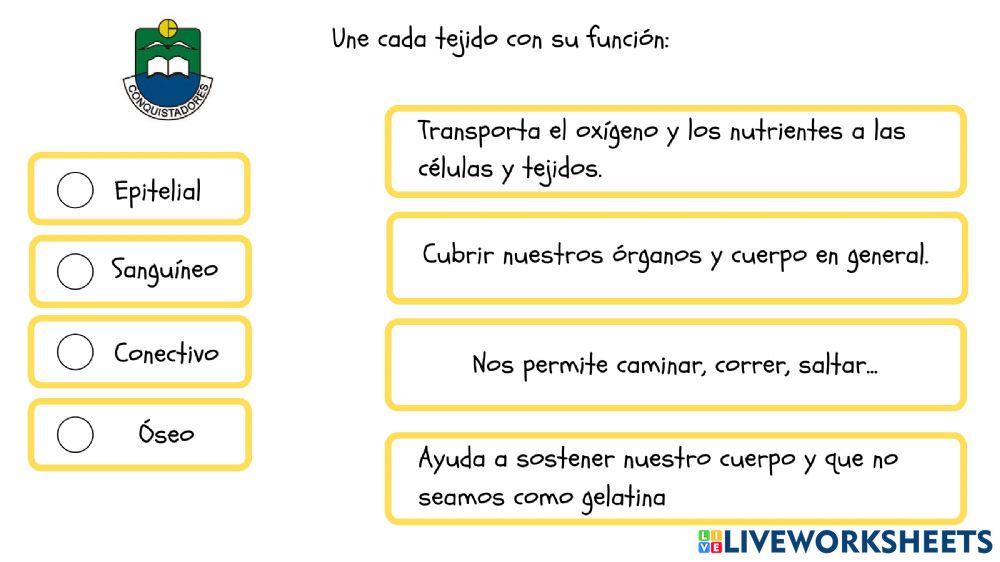 Tejidos del cuerpo Tejidos del cuerpo