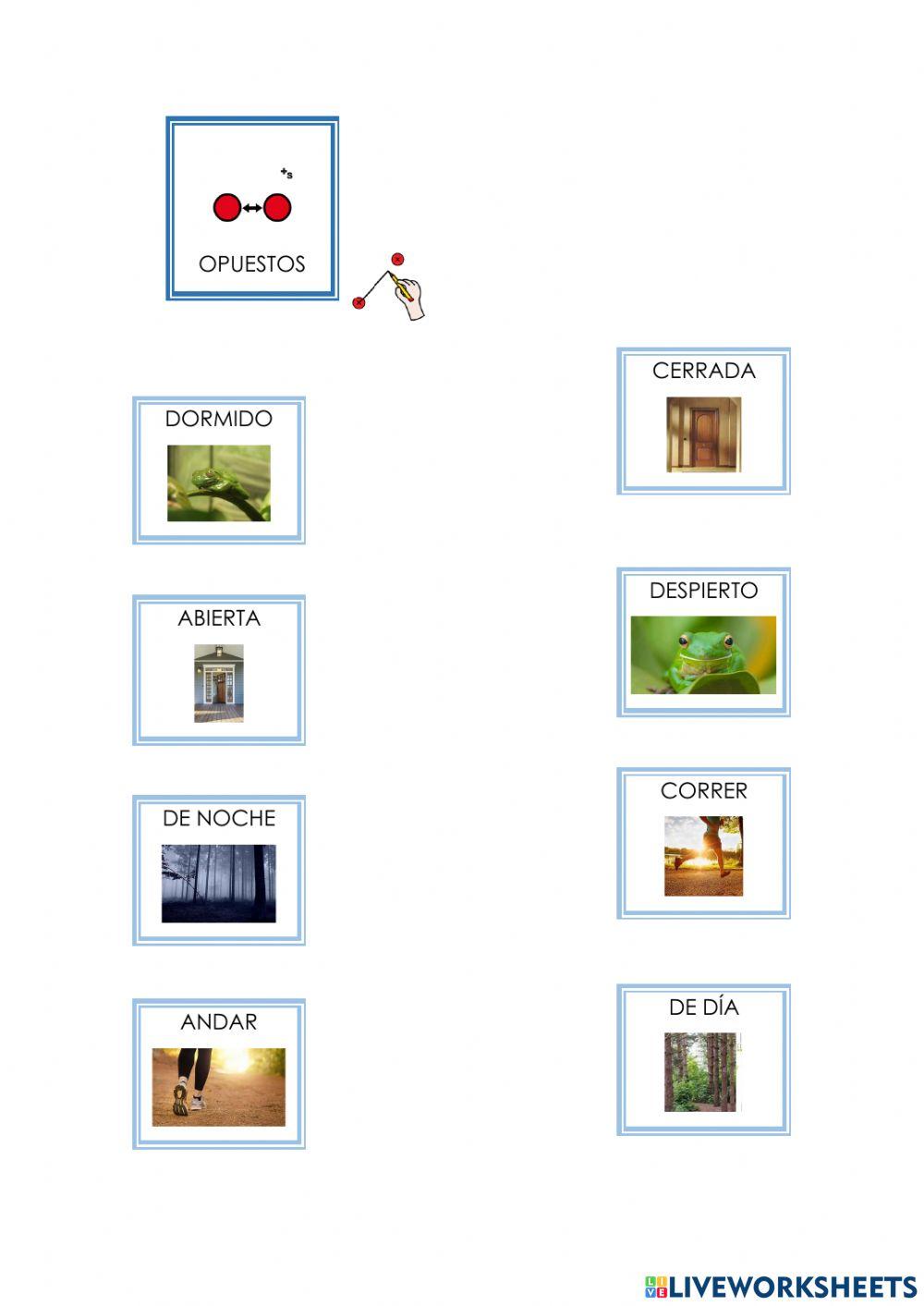 Comprensión sapo tiene miedo 1