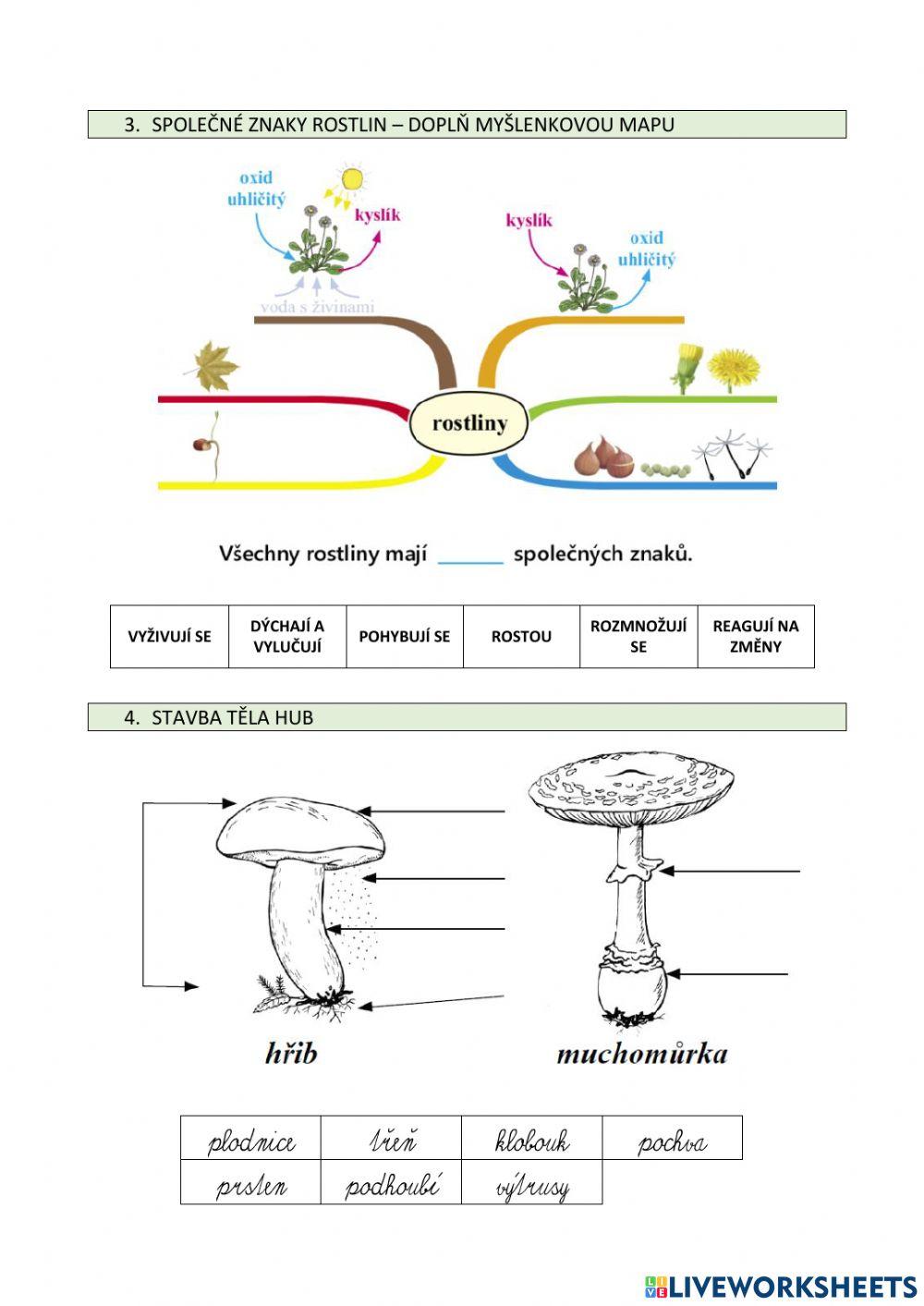 Pracovní list - živá příroda