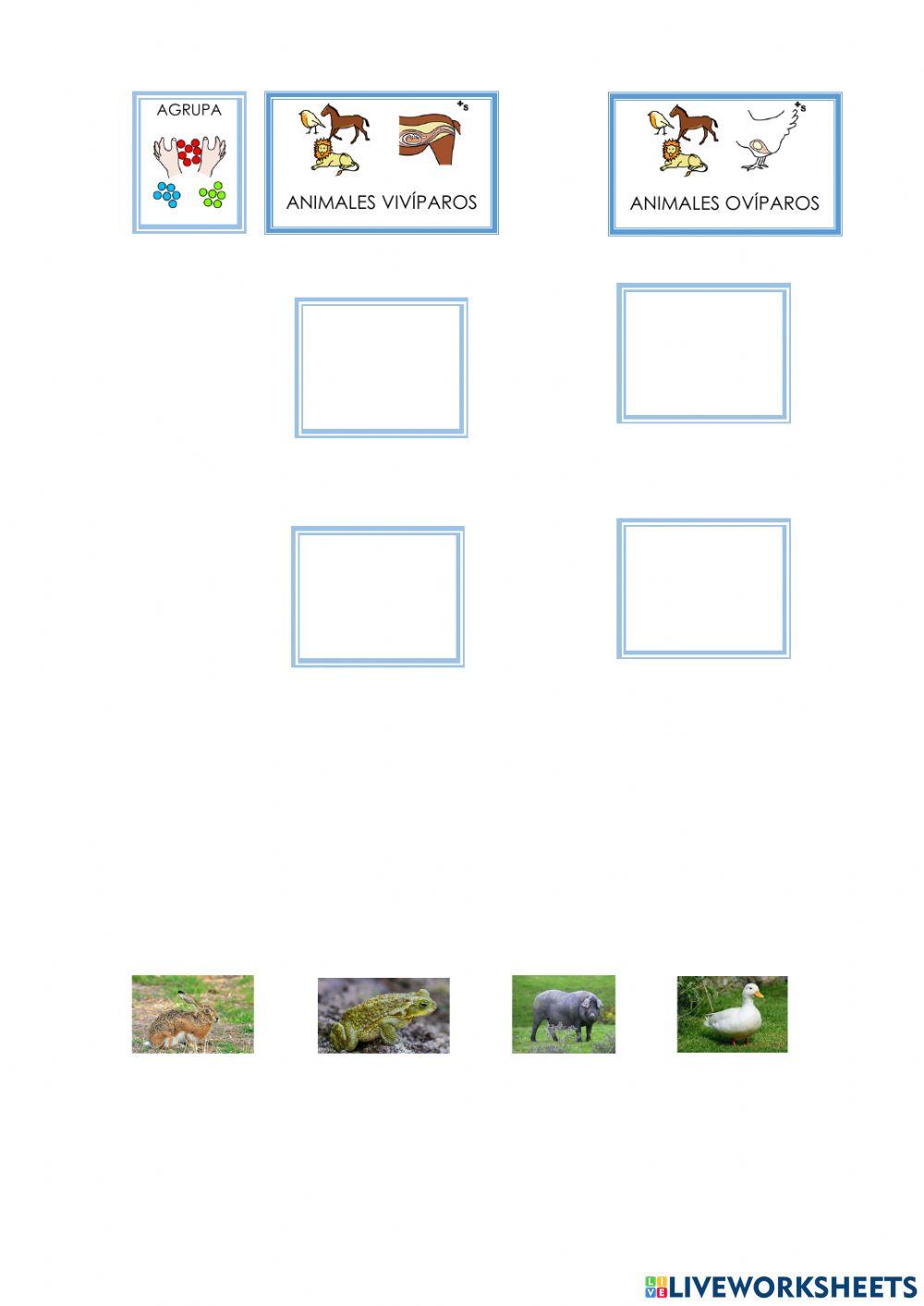 Comprensión sapo tiene miedo 2