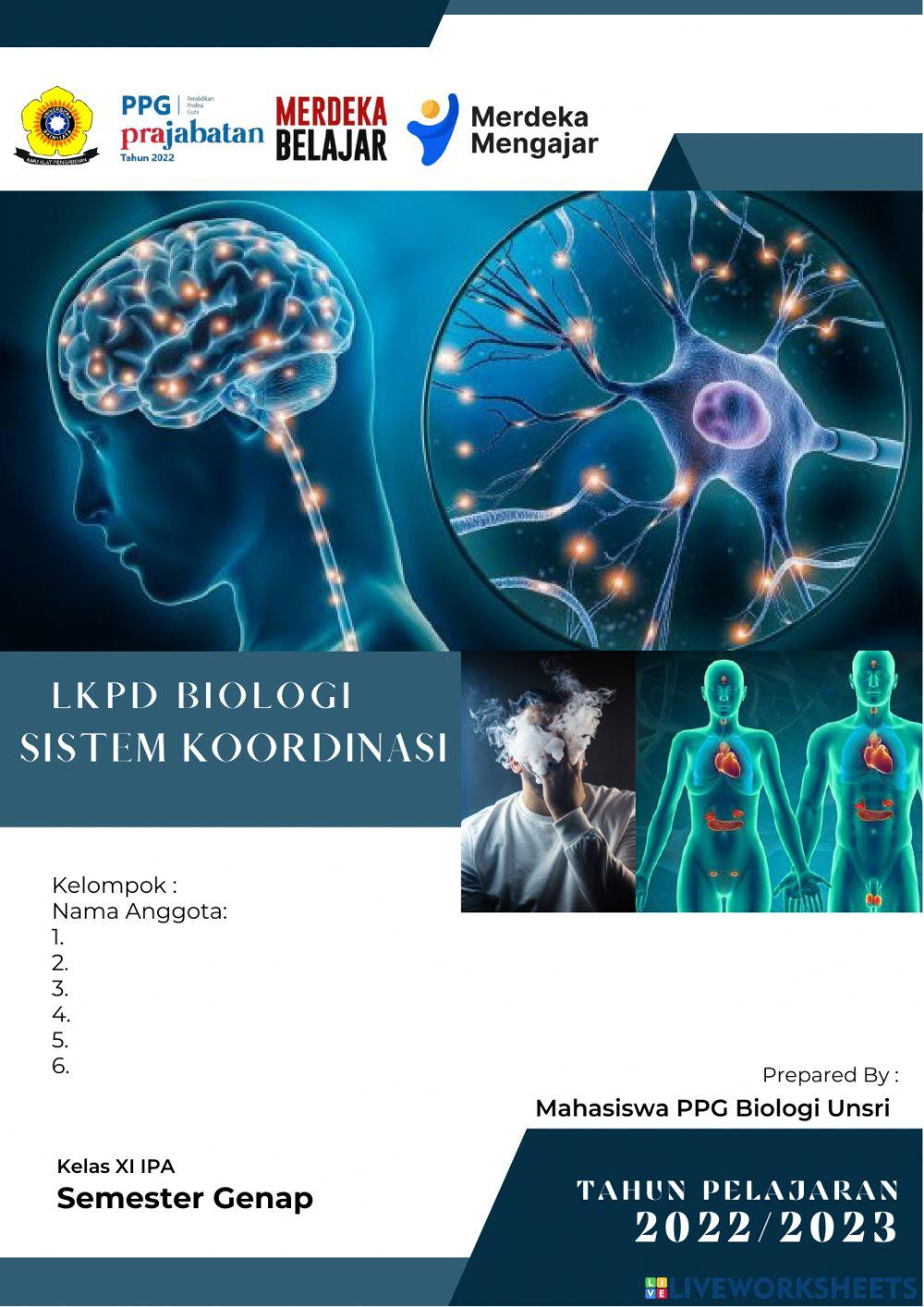 Lkpd saraf, hormon, napza