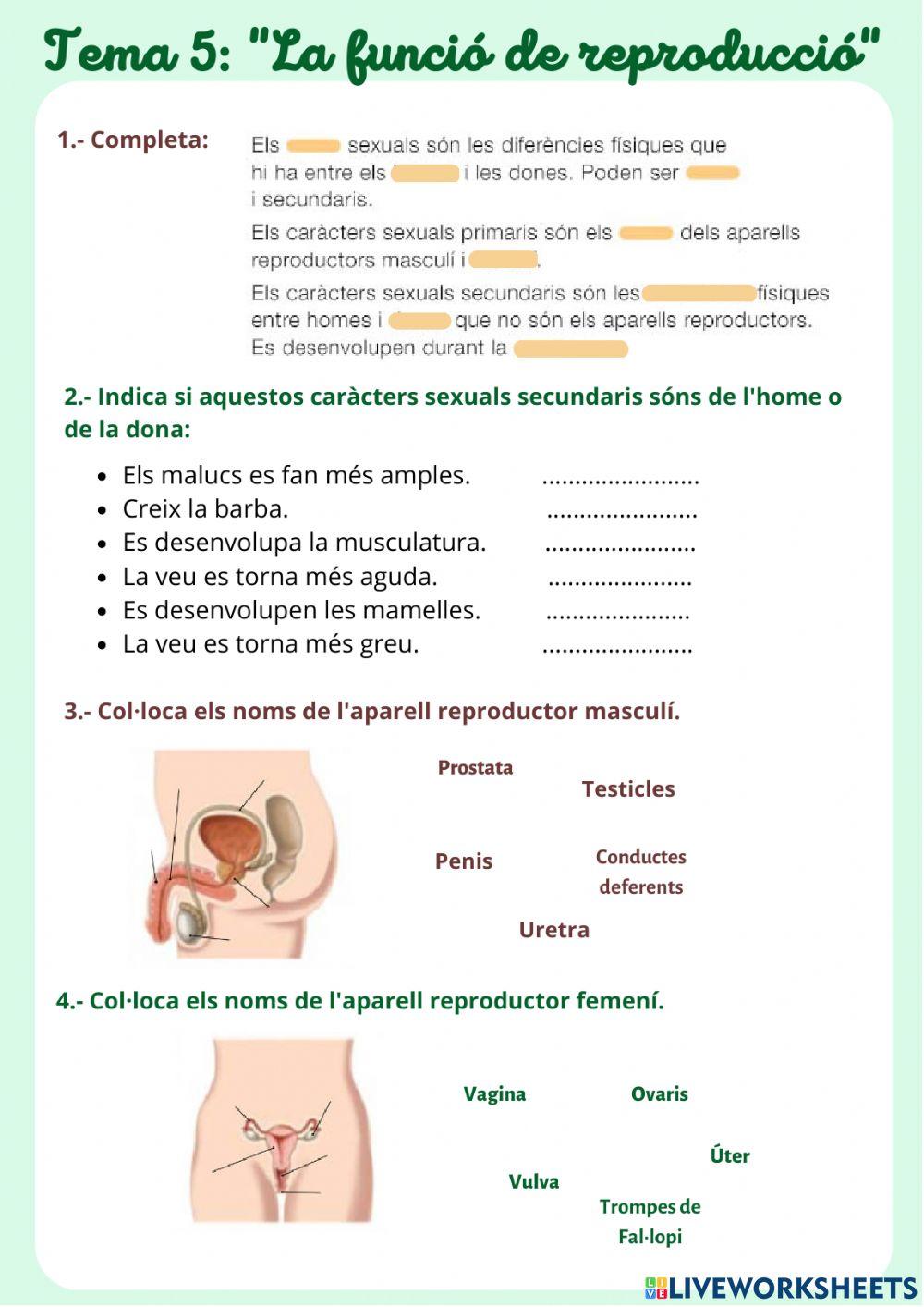 La funció de reproducció