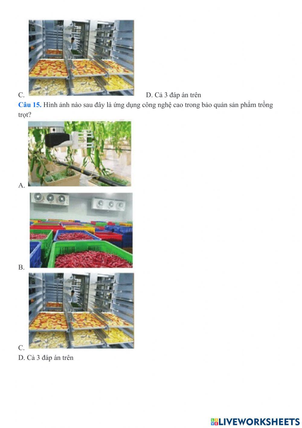 Công nghệ trồng trọt