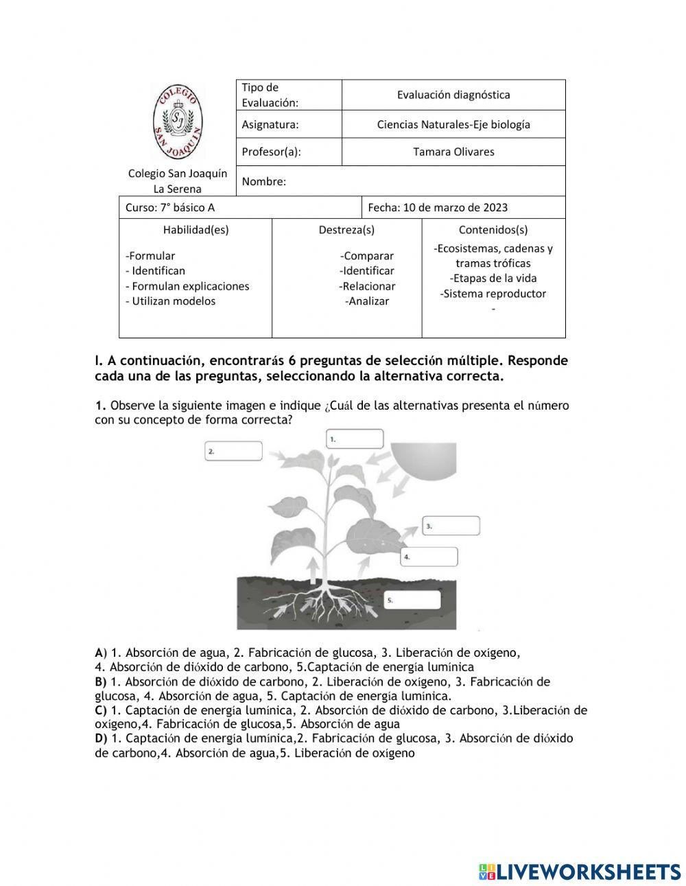 Diagnóstico 7B biología