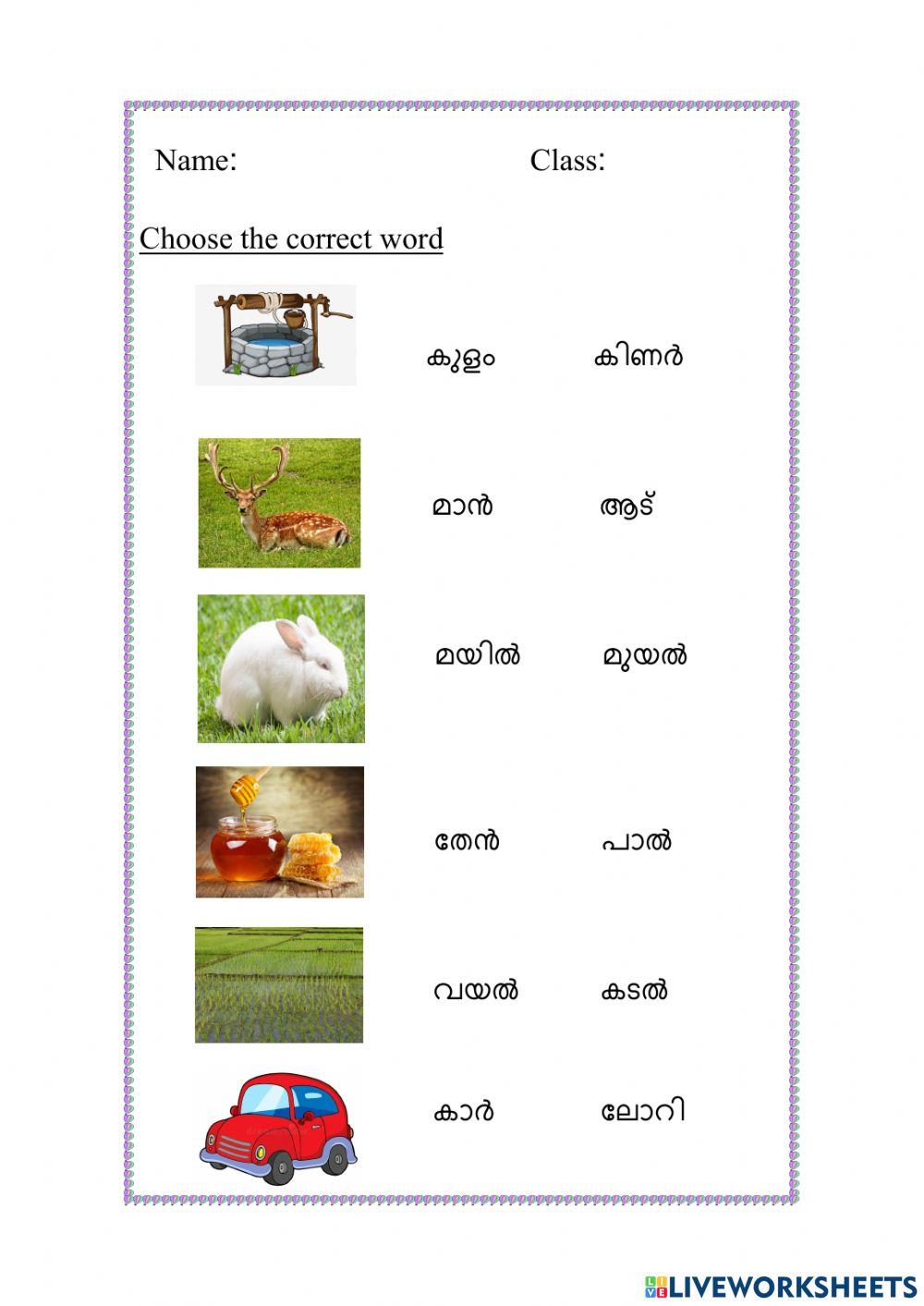 Malayalam 2335370 Najiya A R LiveWorksheets malayalam-2335370-najiya-a-r-liveworksheets