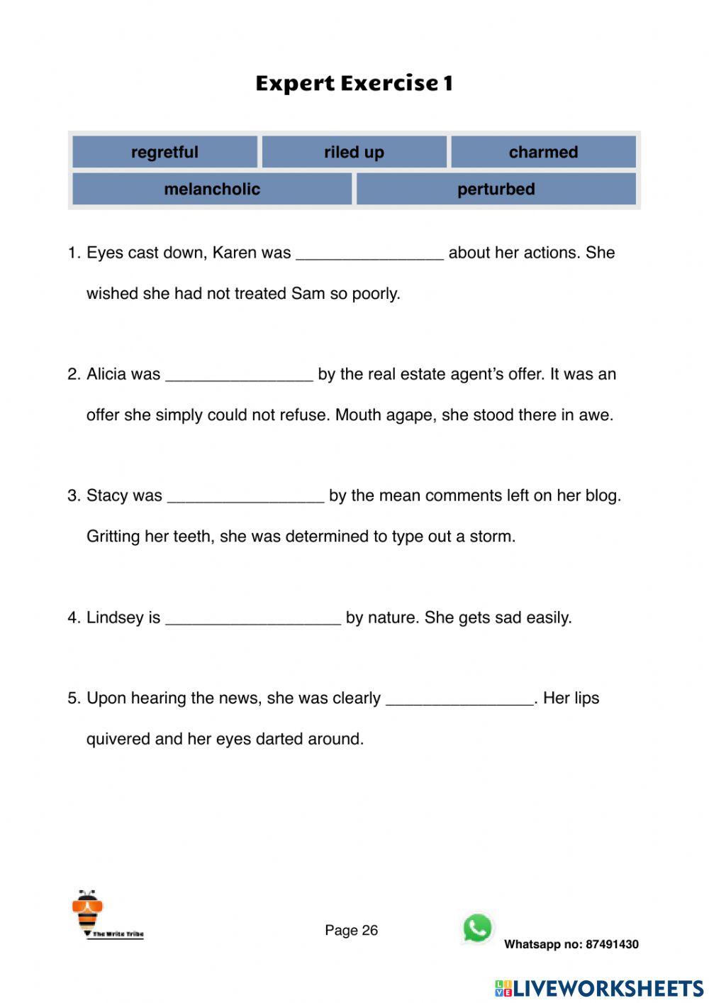Ultimate Emotional Adjectives Expert Exercise