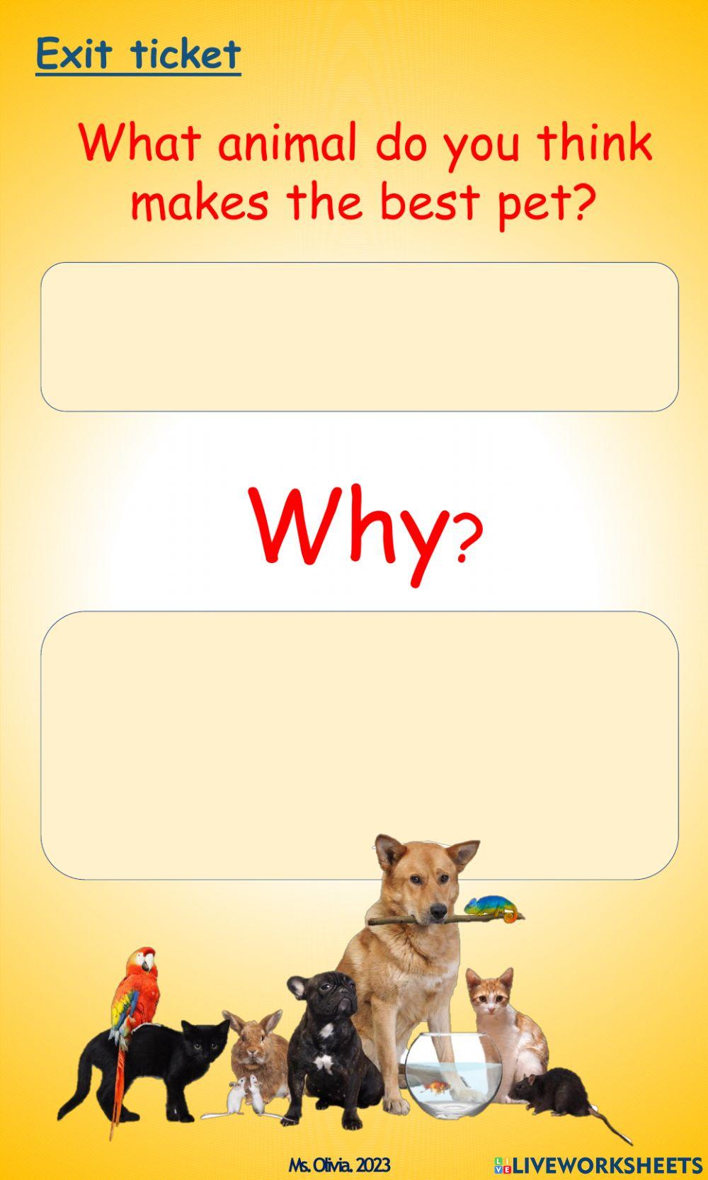 GRADE 6 ACCESS UNIT 8 LESSON 8