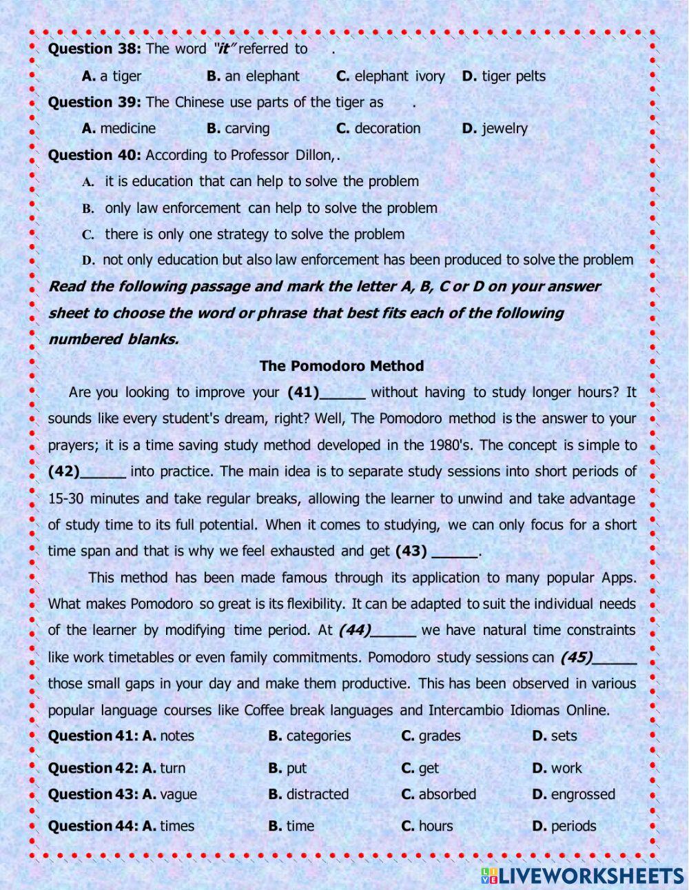 E11 - Mid term 2 - PTNK - 22-23