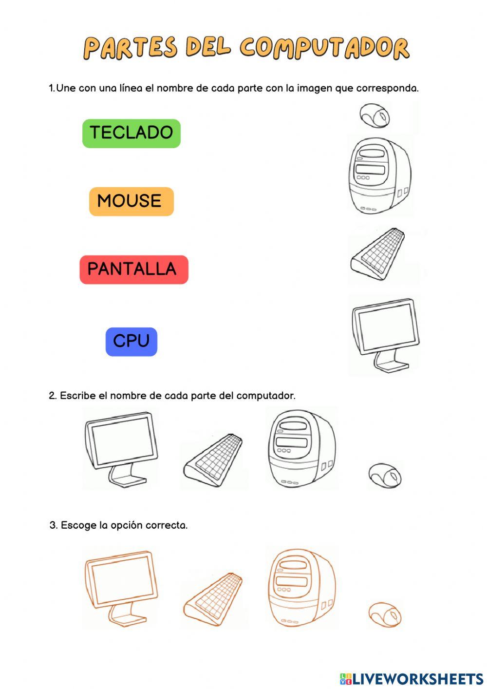 Partes del computador