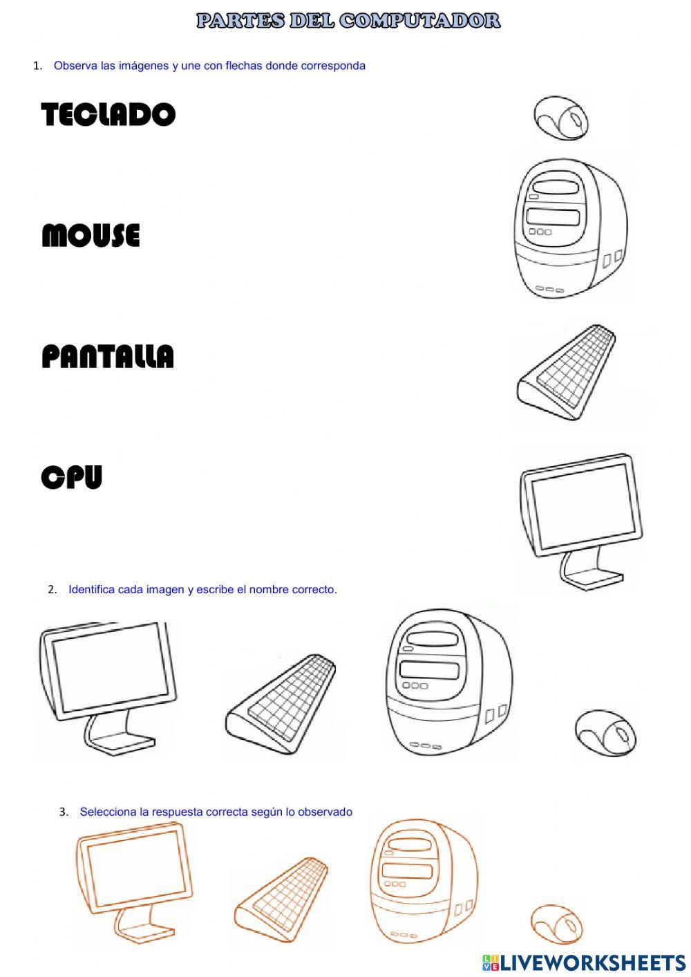Ficha interactiva partes del computador