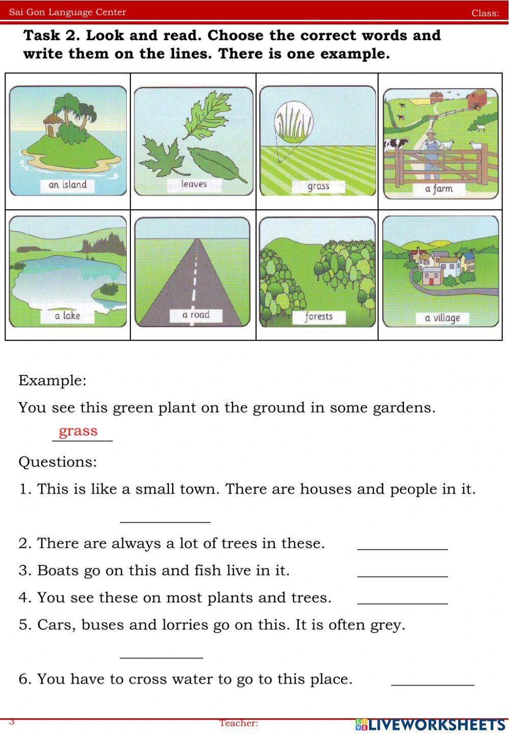 Review for test online exercise for Class: Goldfish + Taro | Live ...