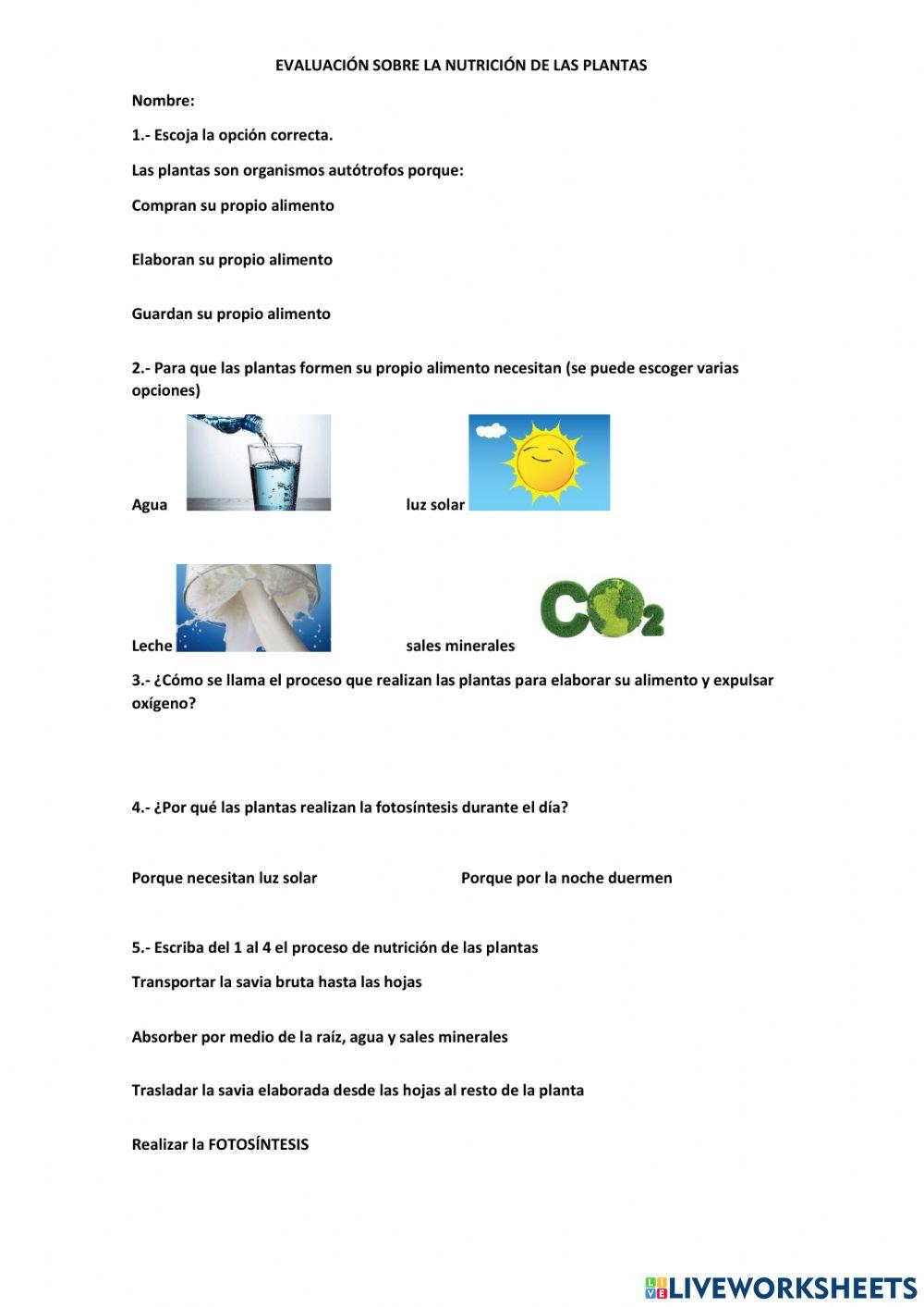 Nutrición de las plantas