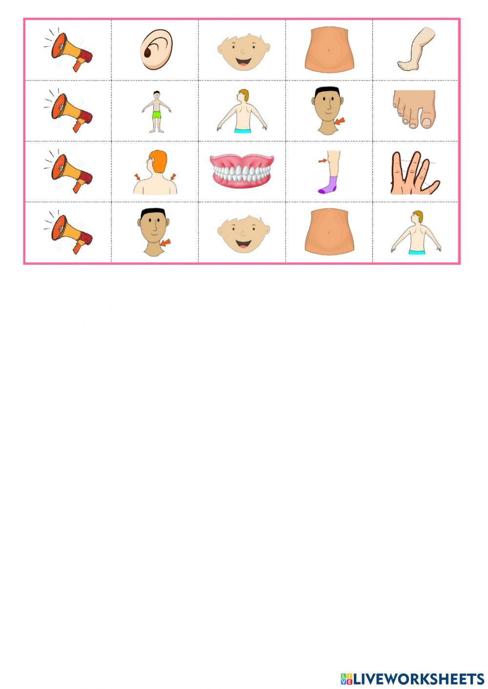 Listen and choose body 2