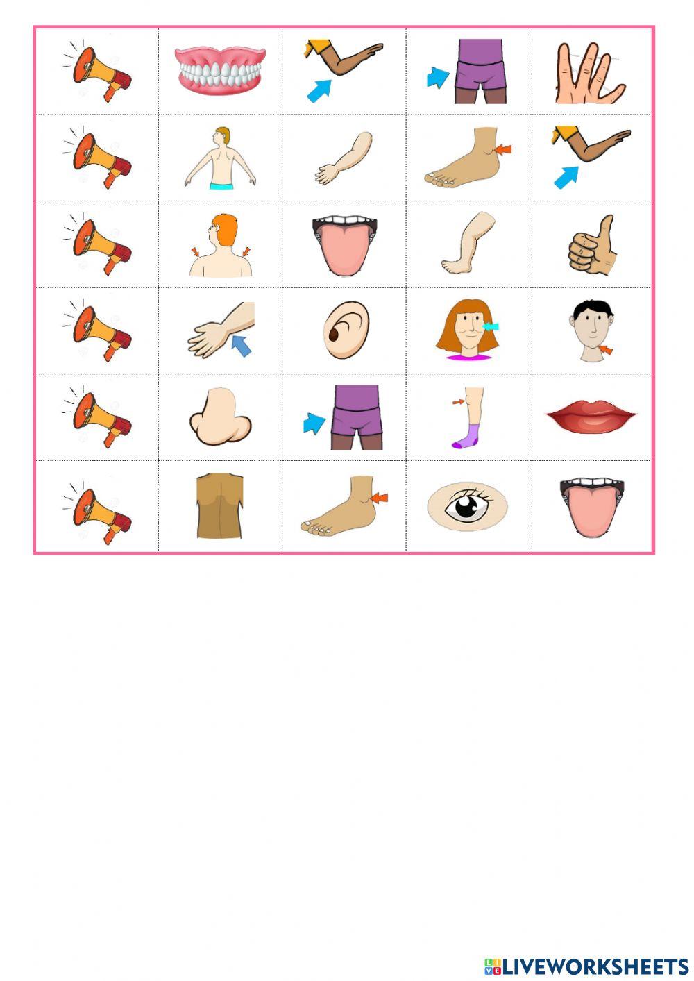 listen and choose body 3