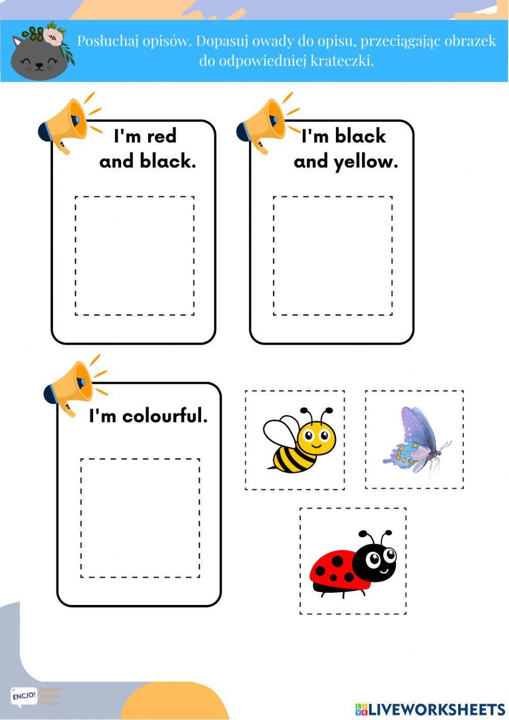 Picnic maluchy insects