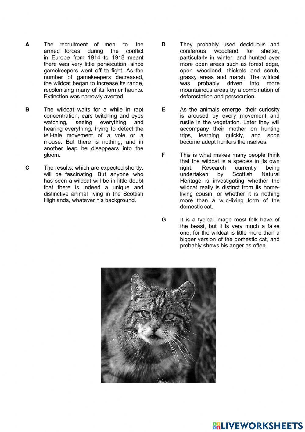 Reading c1 liveworksheets 6945960