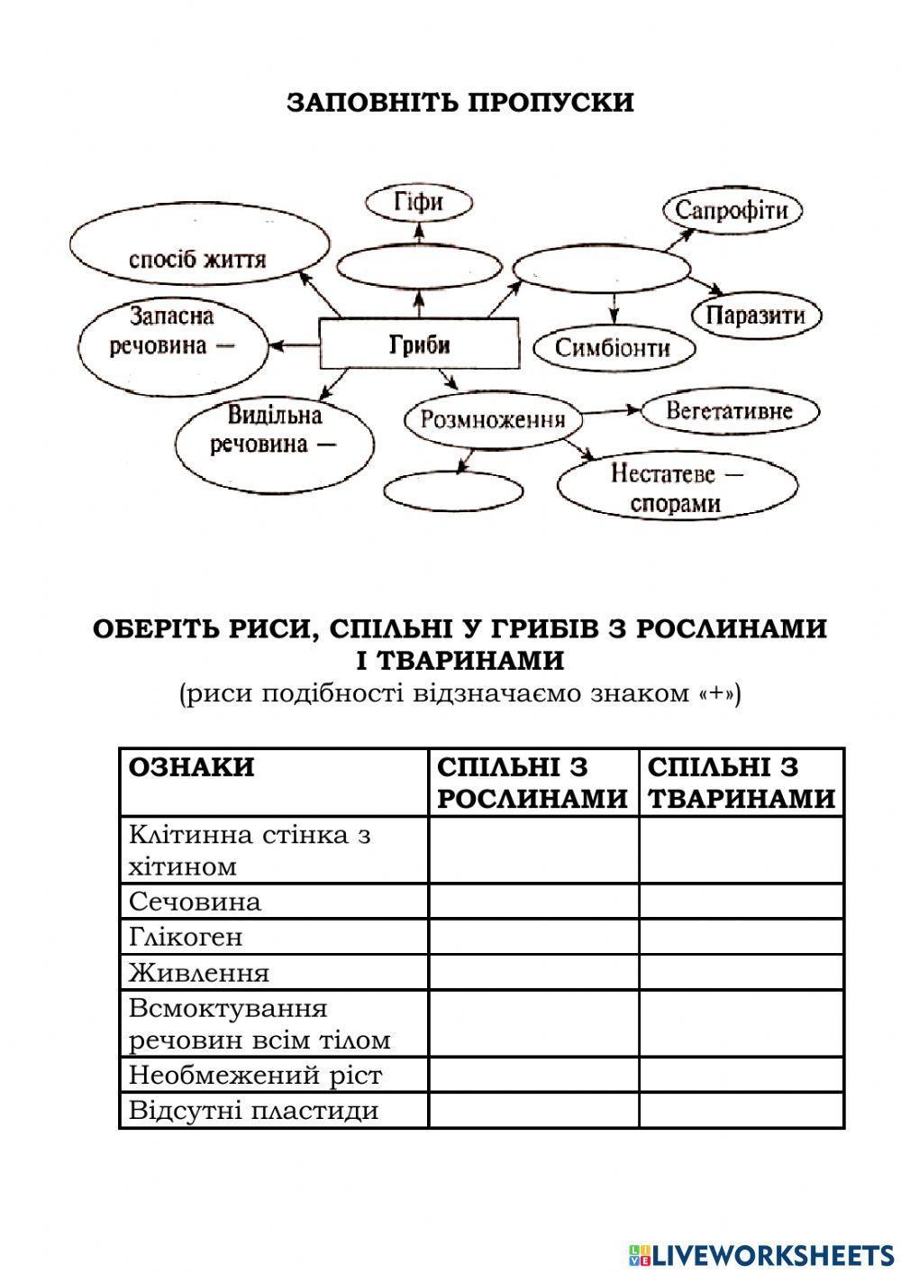 Загальна характеристика грибів