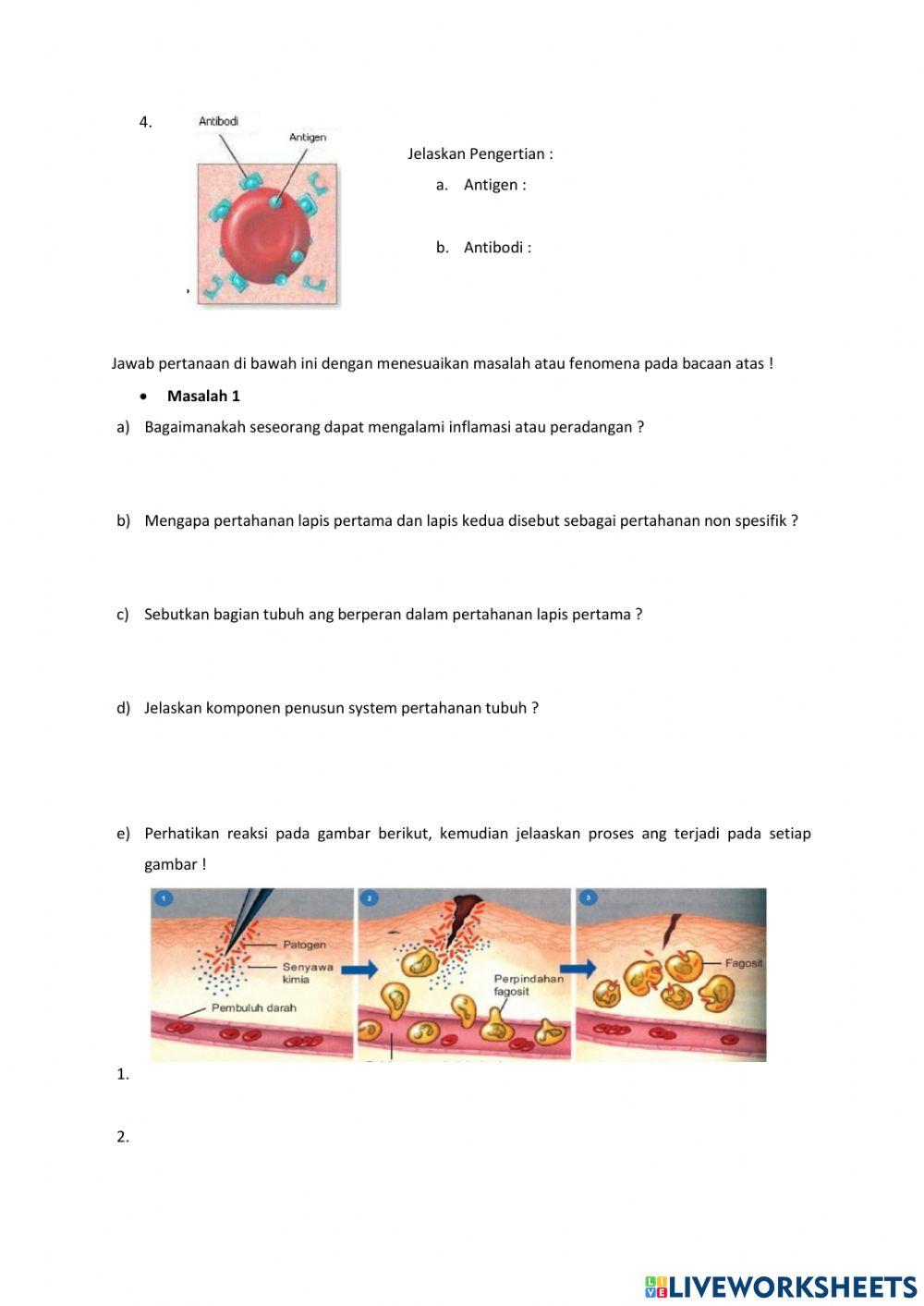 LKPD SISTEM IMUN-Revisi