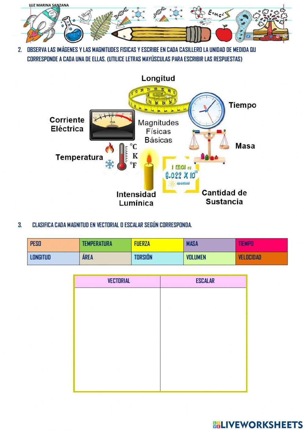MAGNITUDES 1° MEDIO