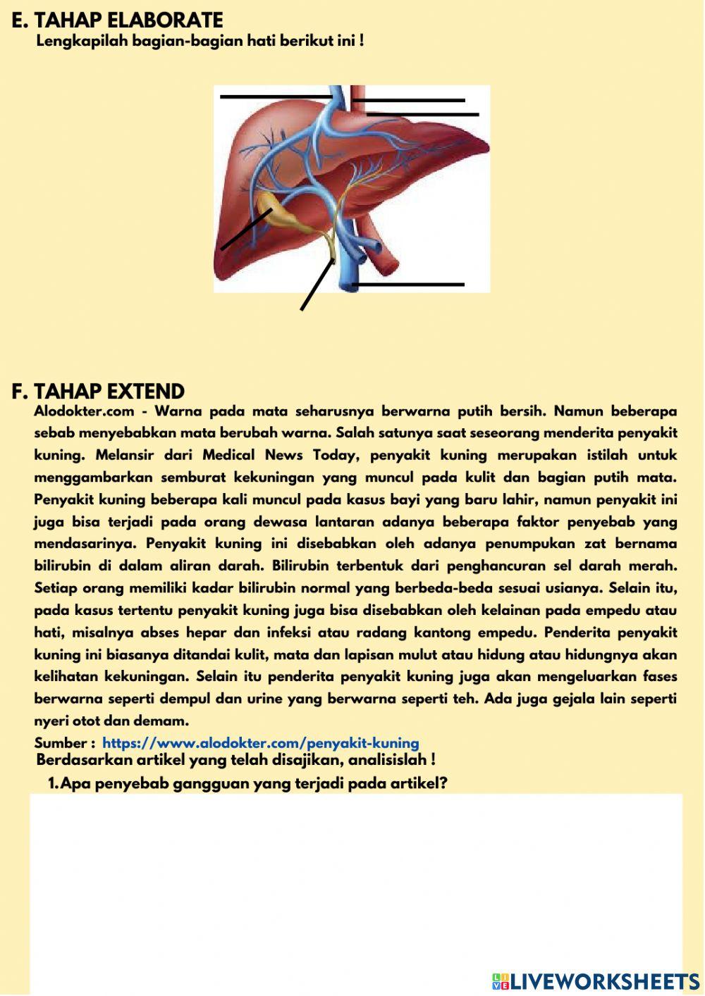 LKPD Gangguan Hati-2