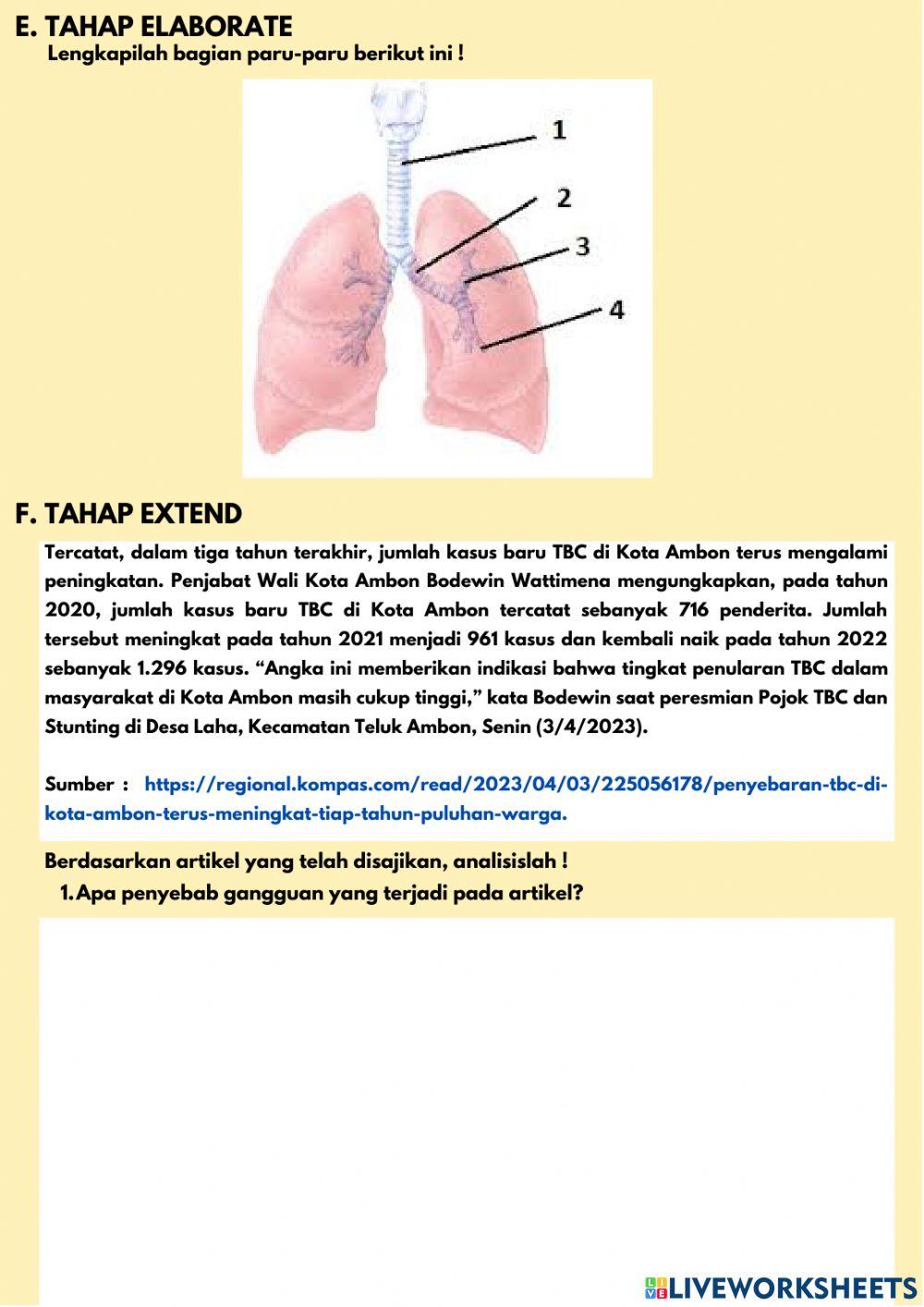 LKPD Gangguan Paru-Paru