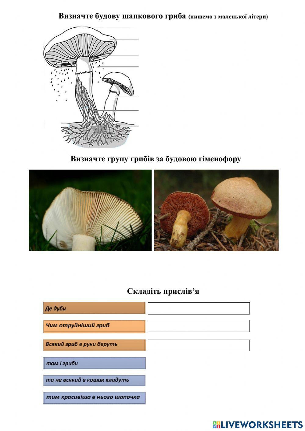 Гриби online activity | Live Worksheets