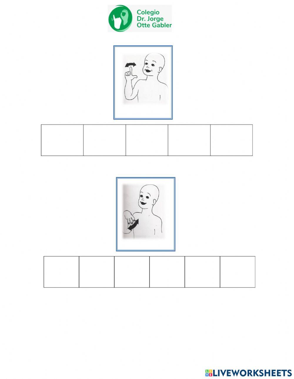 Días de la semana LSCh