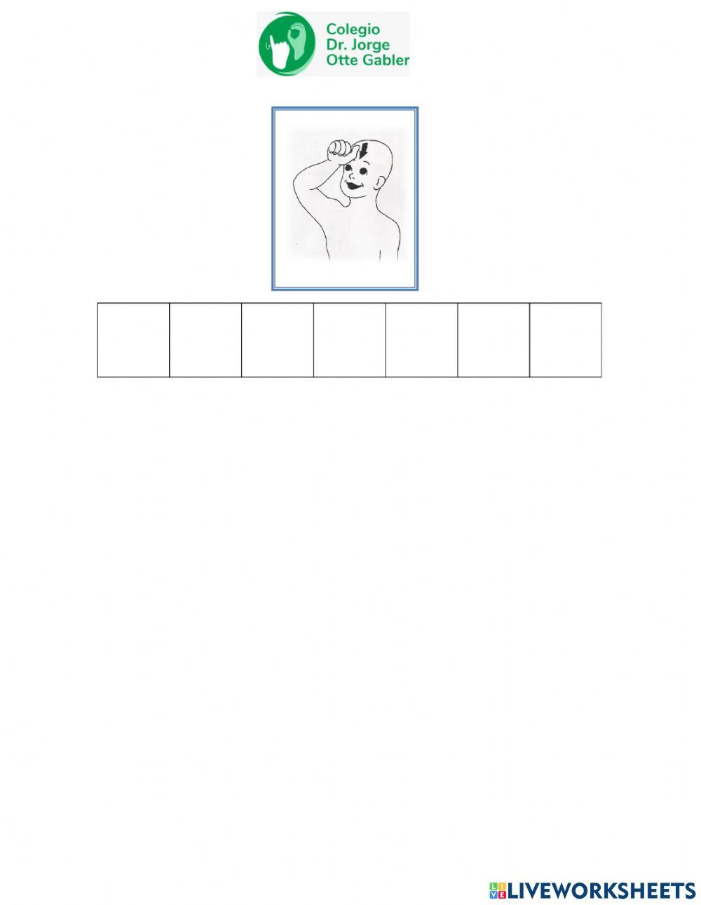 Días de la semana LSCh