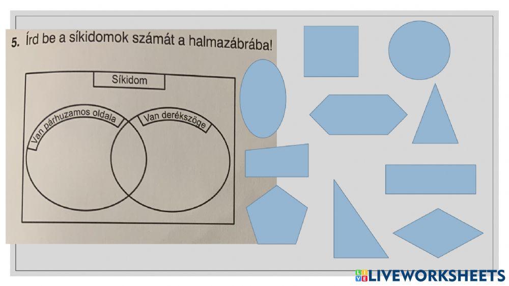 Síkidomok-csoportosítása-IIfelev-vizsga
