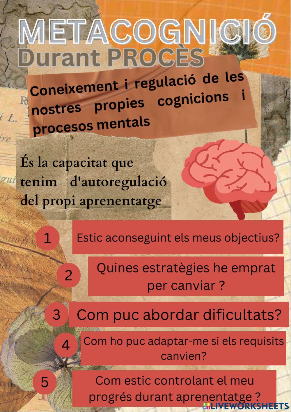 Metacognició avaluació mig procés