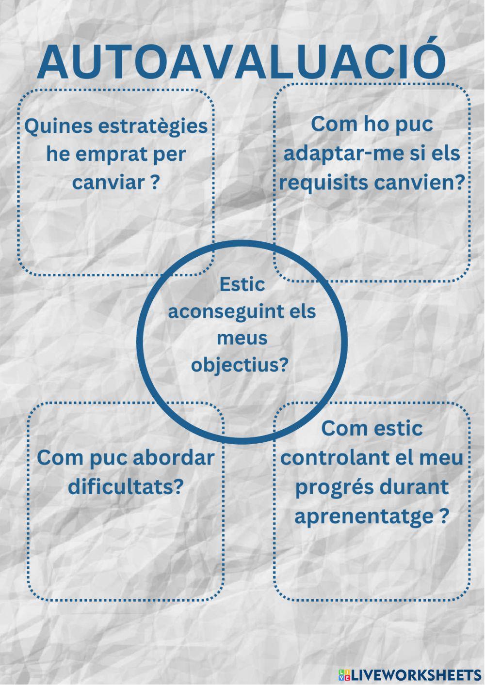 Metacognició avaluació mig procés