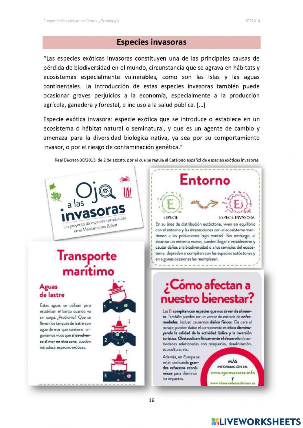 Practicando Pruebas externas 5