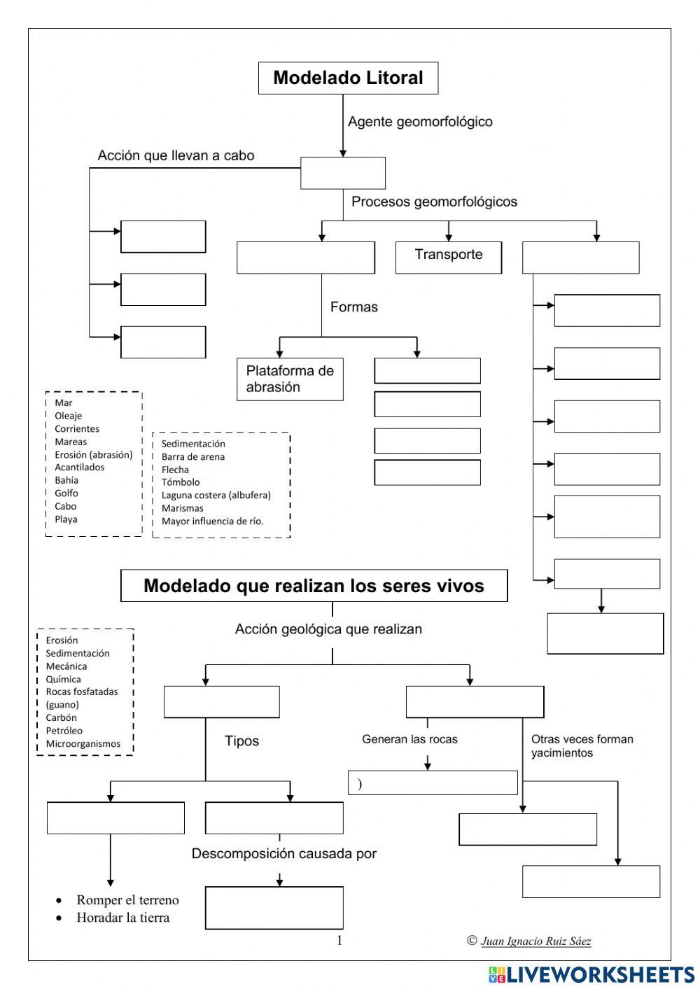 Modelado Litoral y SSVV Modelado Litoral y SSVV