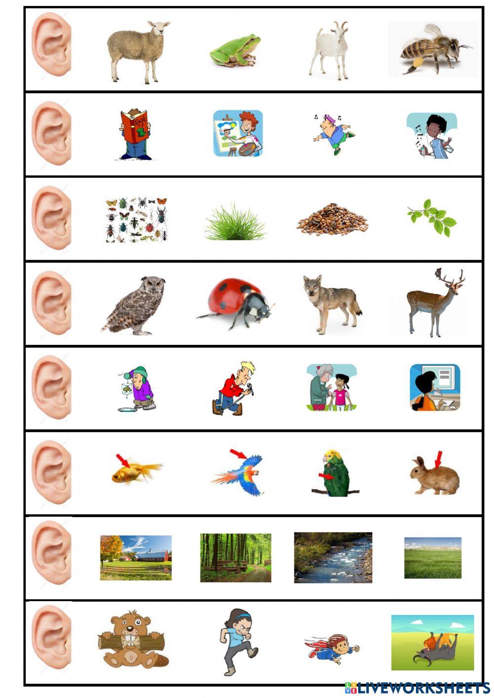 unit 1 and 2 tiger 3 review