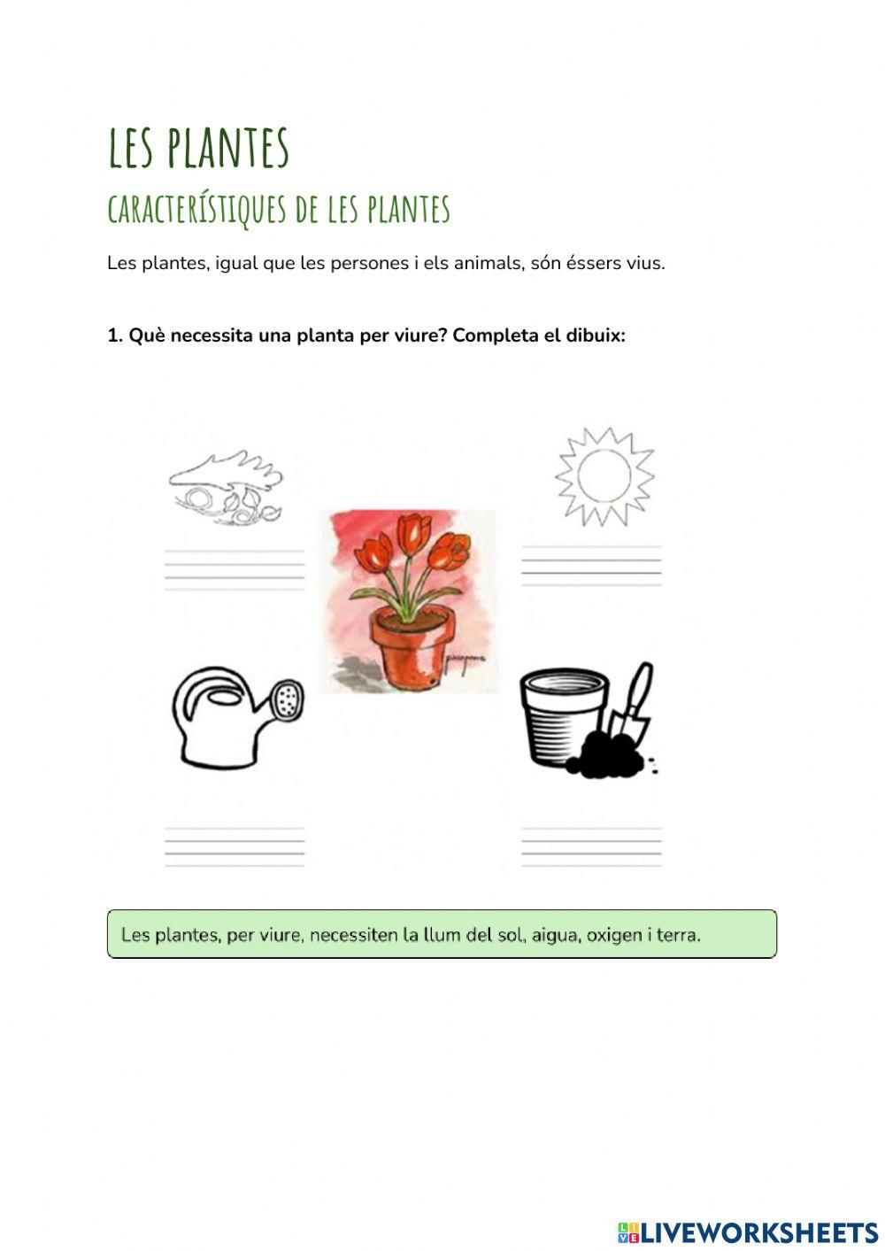 Les plantes