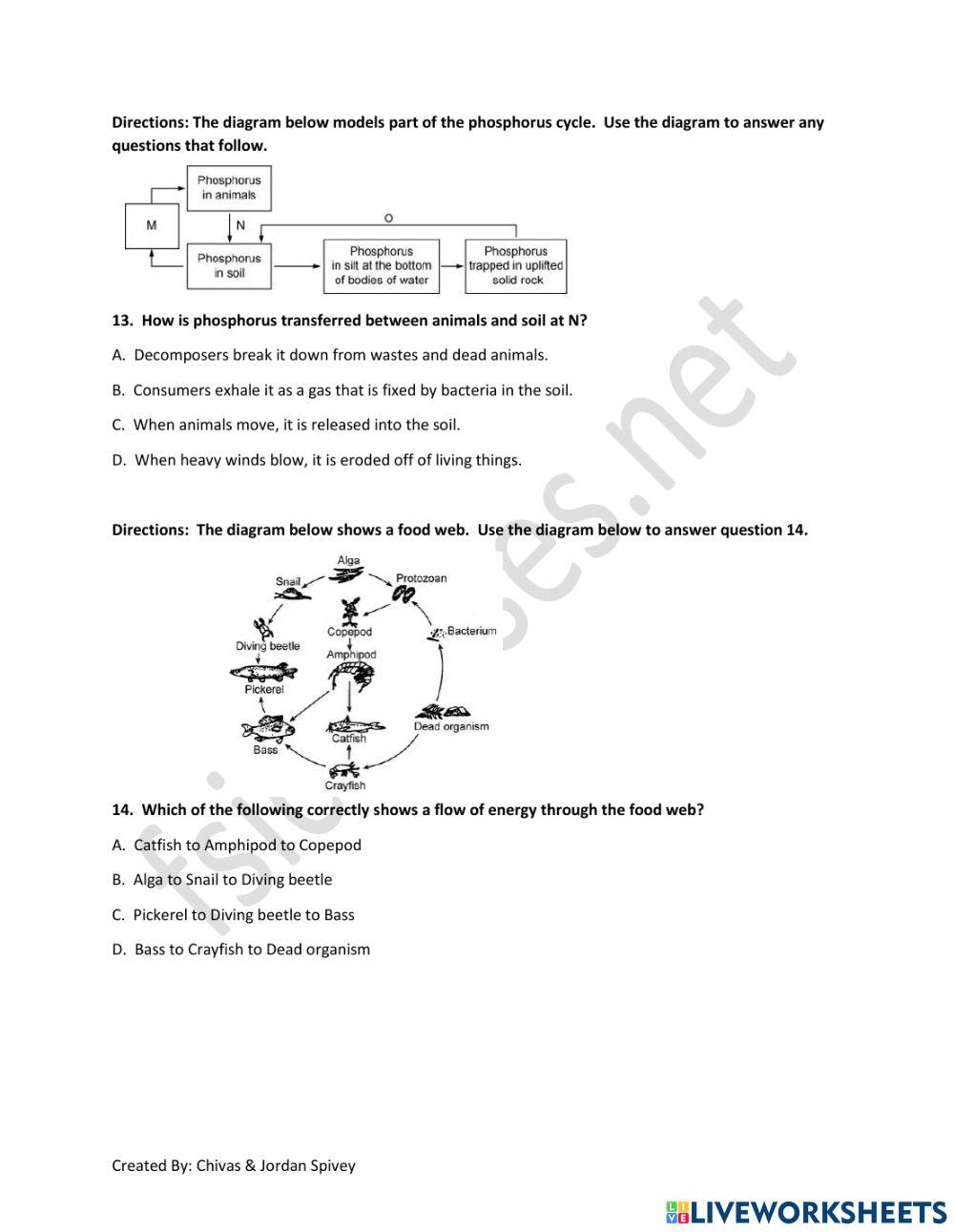 Biology Milestones Benchmark Assessment