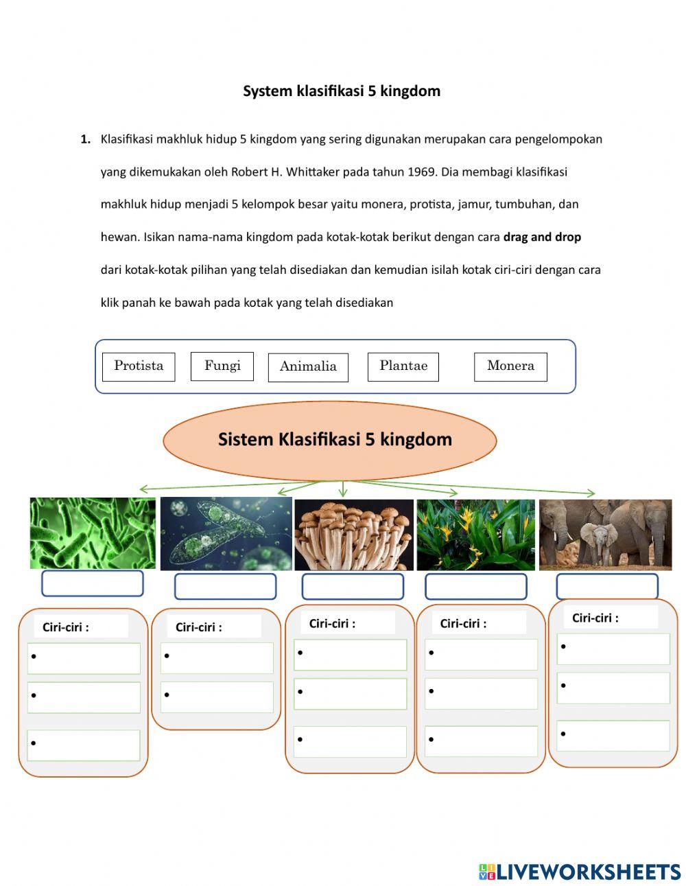Sistem klasifikasi 5 kingdom
