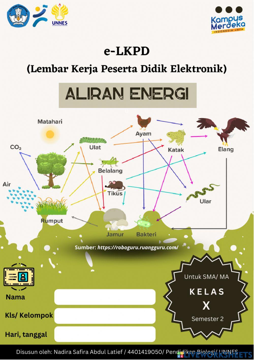 E-LKPD Aliran Energi Berbasis Masalah