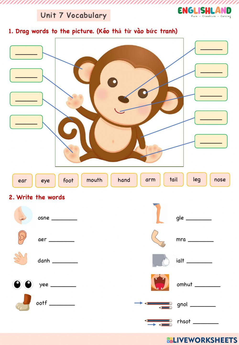 U7 Vocabulary