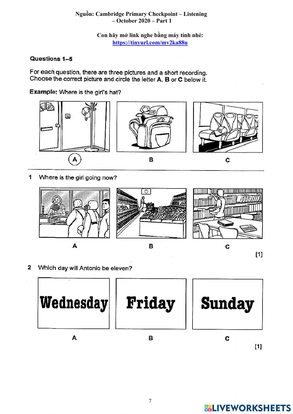 Foreign Teacher-S6-WEEK 31-U8-VOCAB REVISION