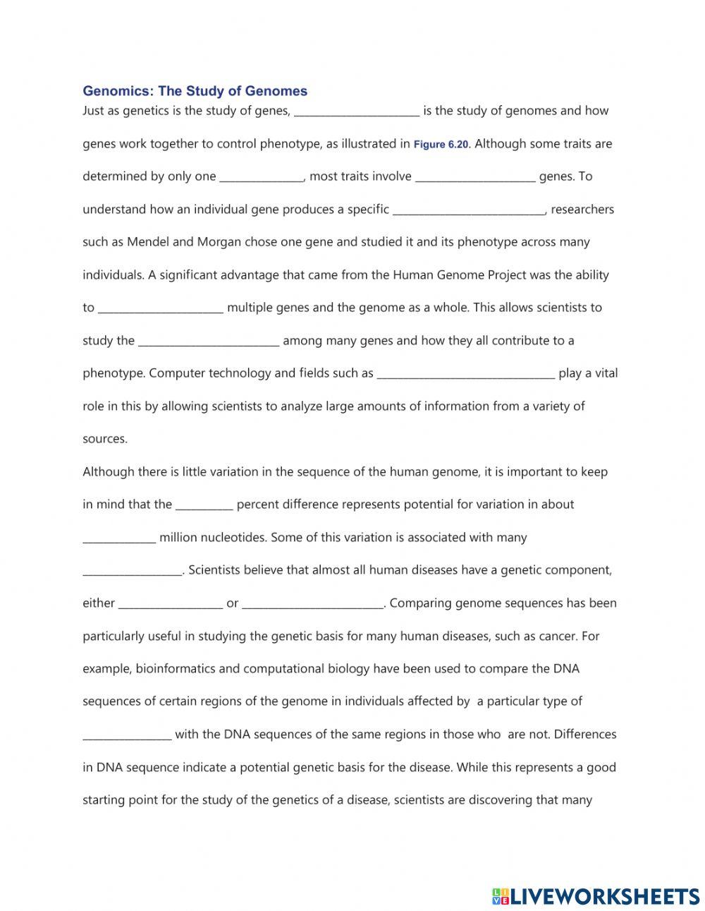 The Future of Genetic Research