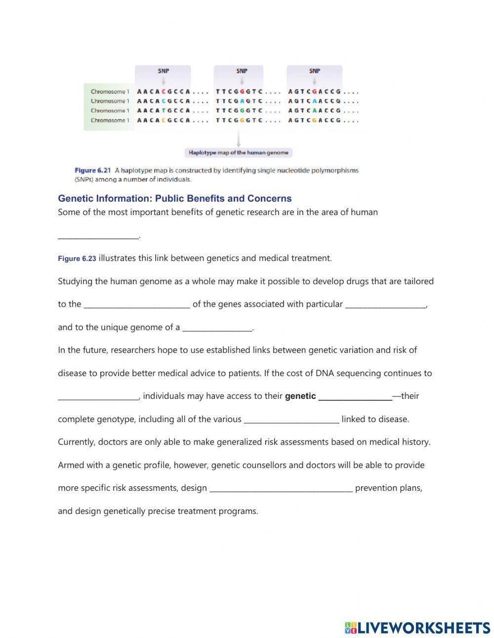 The Future of Genetic Research