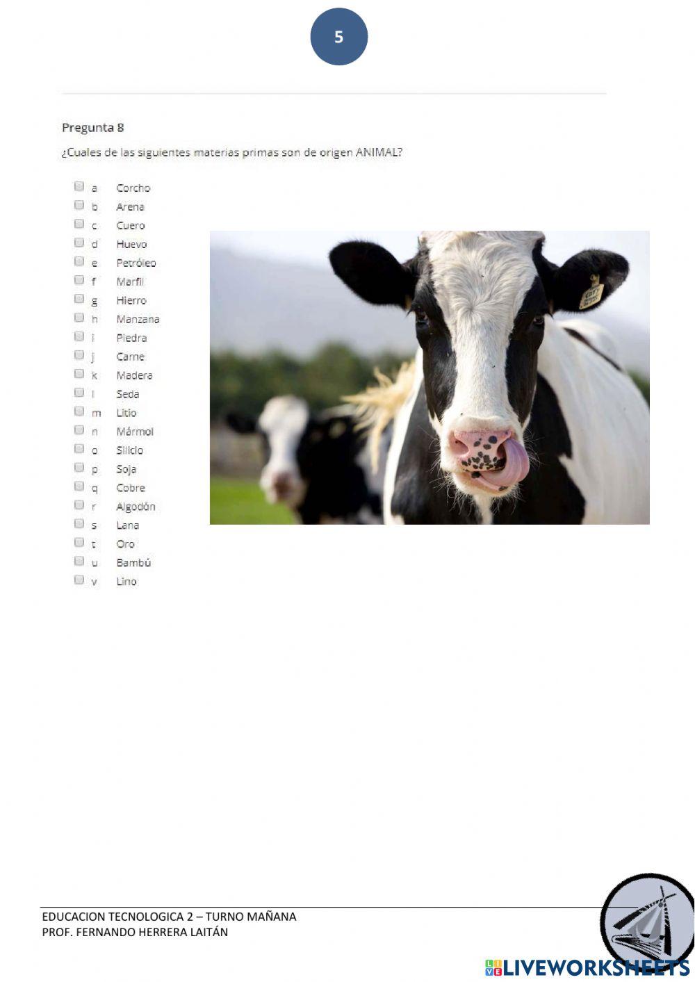 Materia Prima y Materiales