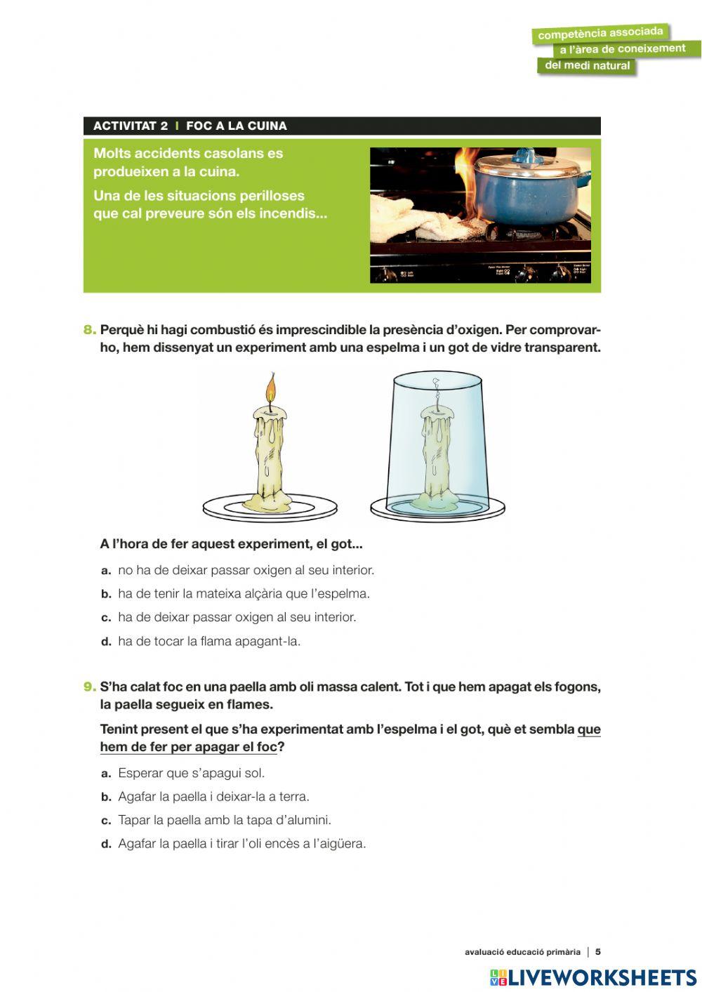 Competències bàsiques medi 20-21