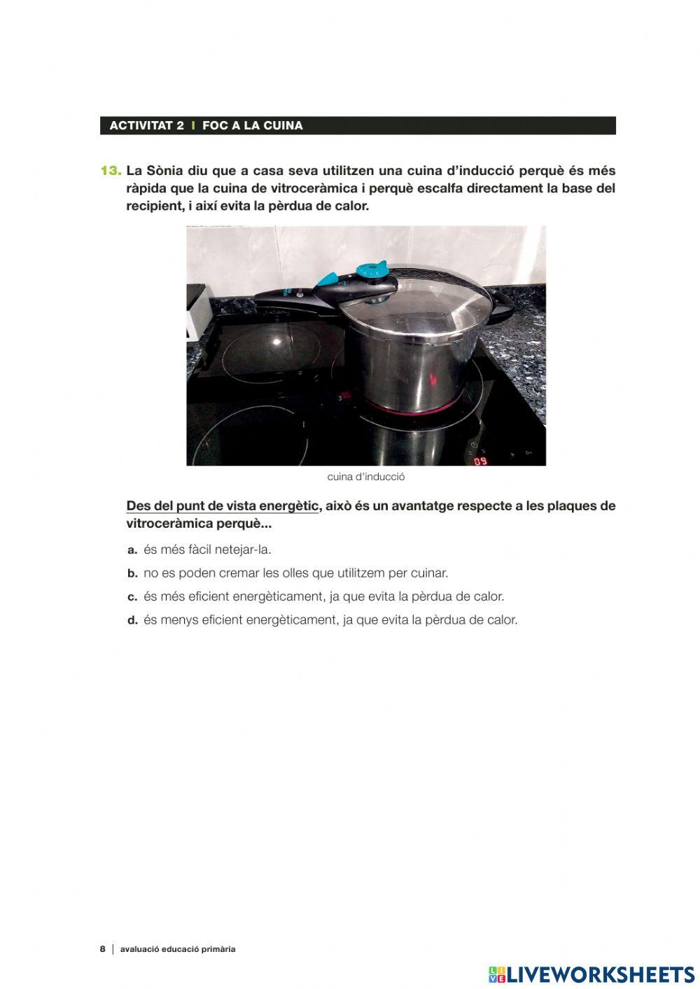 Competències bàsiques medi 20-21