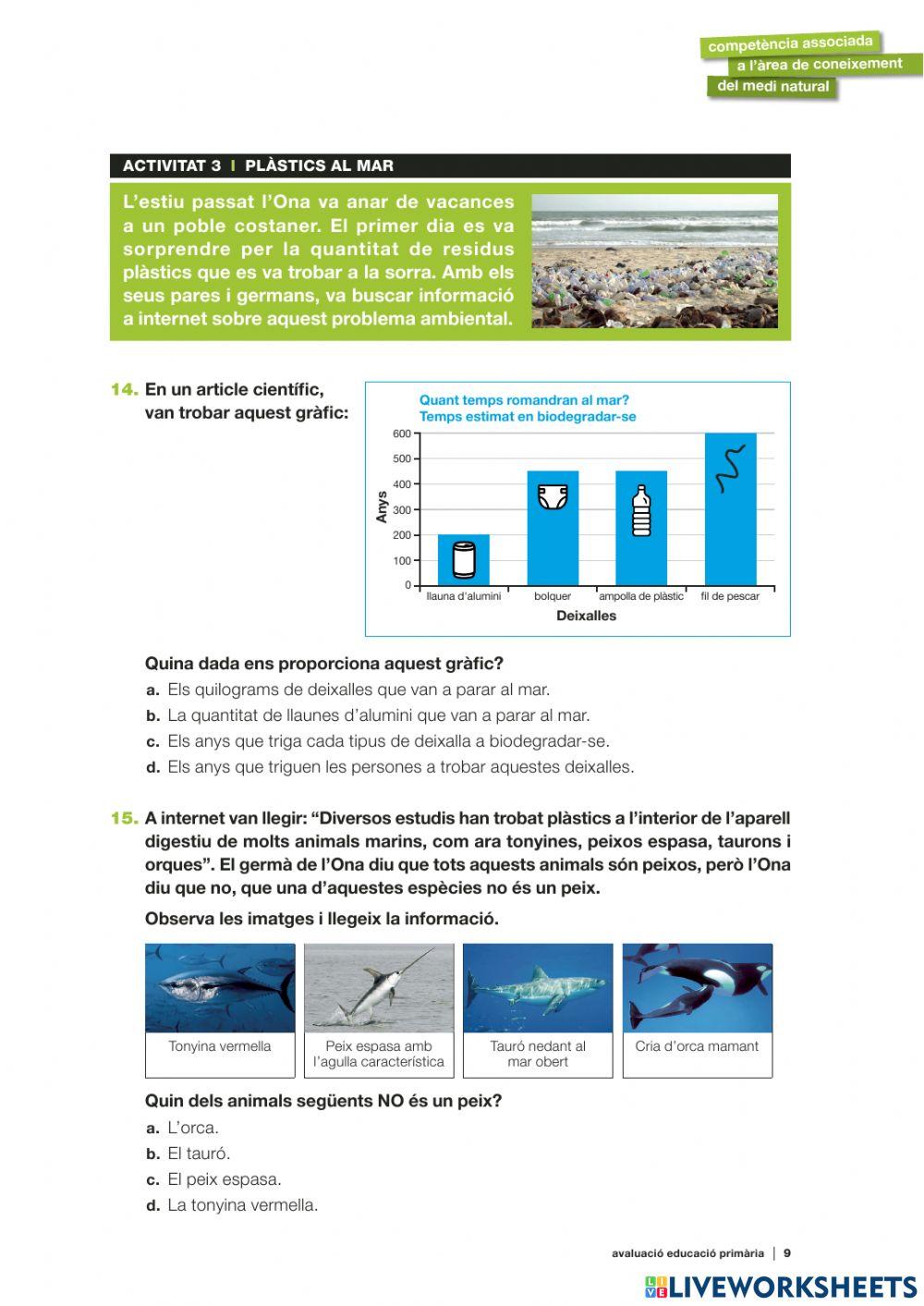 Competències bàsiques medi 20-21