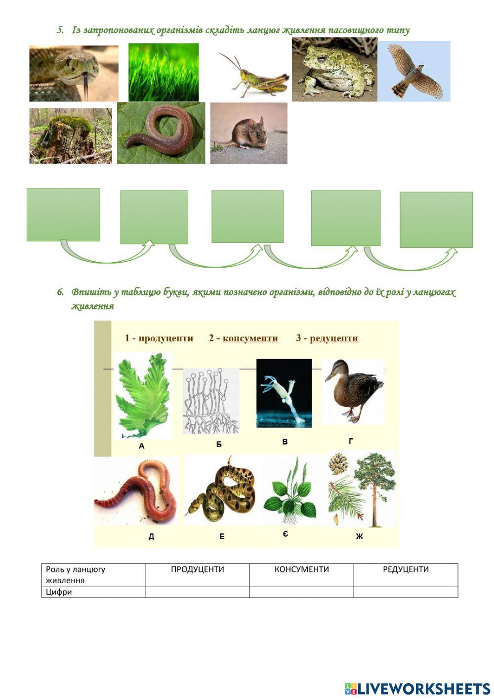 Екосистеми