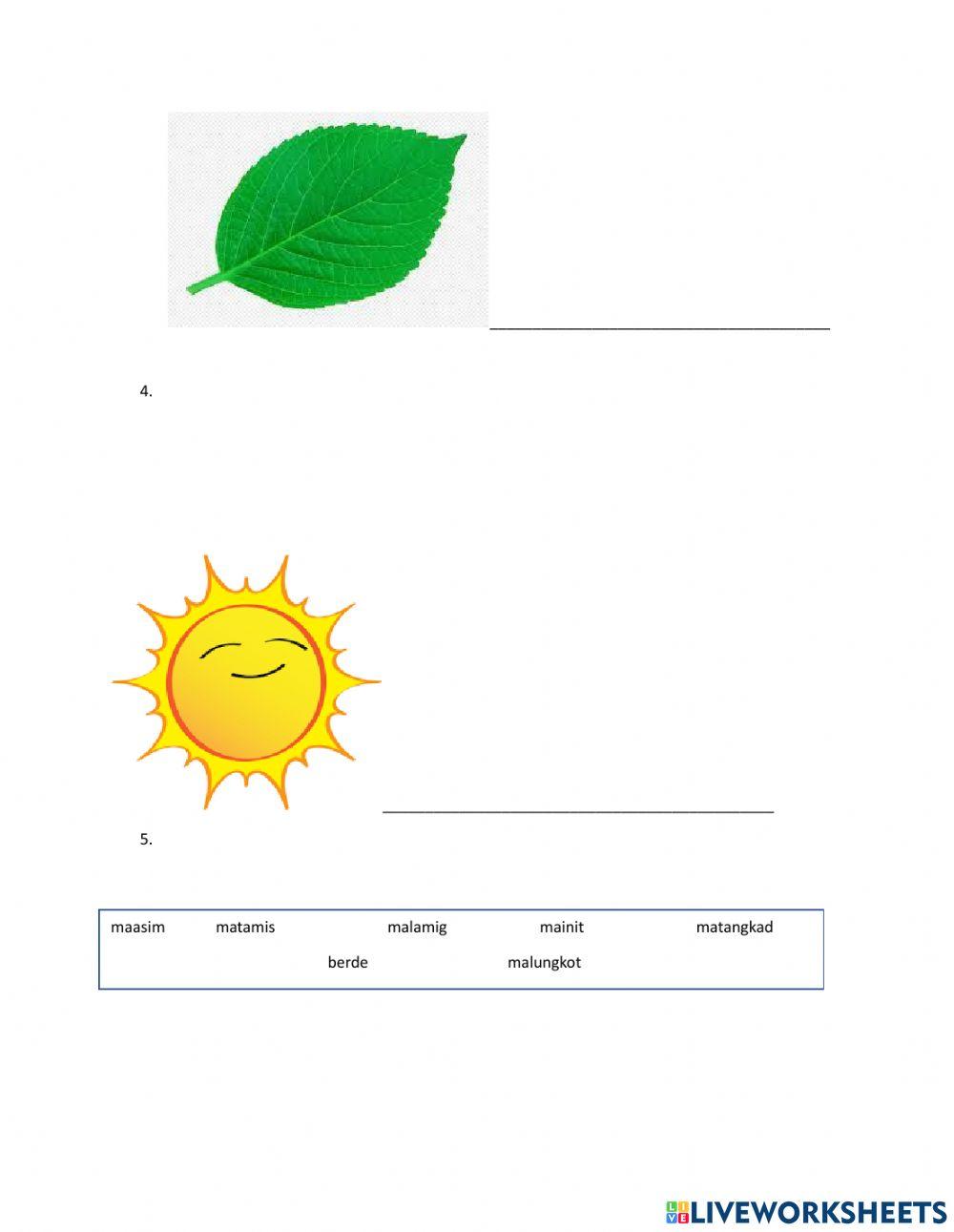 Saitang Naglalarawan