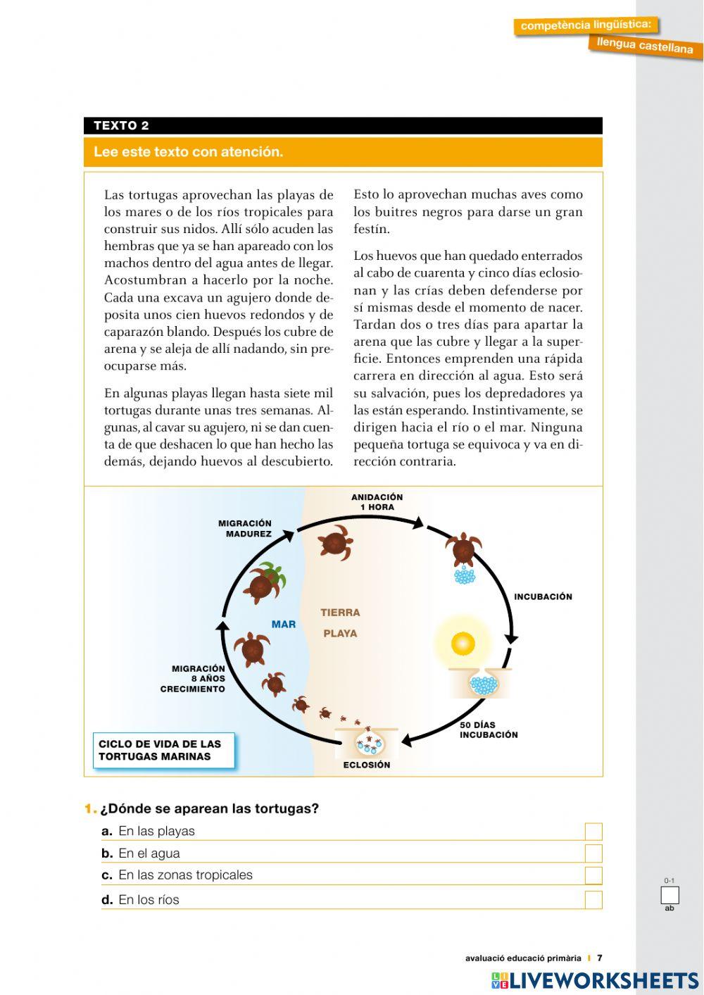 CCBB 2010 - Castellano